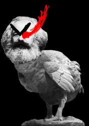 271 KB