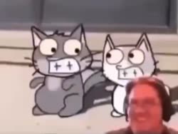 568 KB
